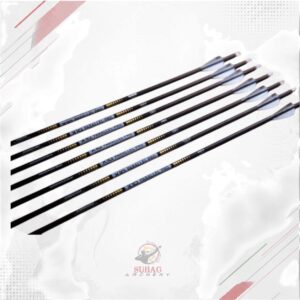 Easton X10 Parallel Pro (Shafts With Points)