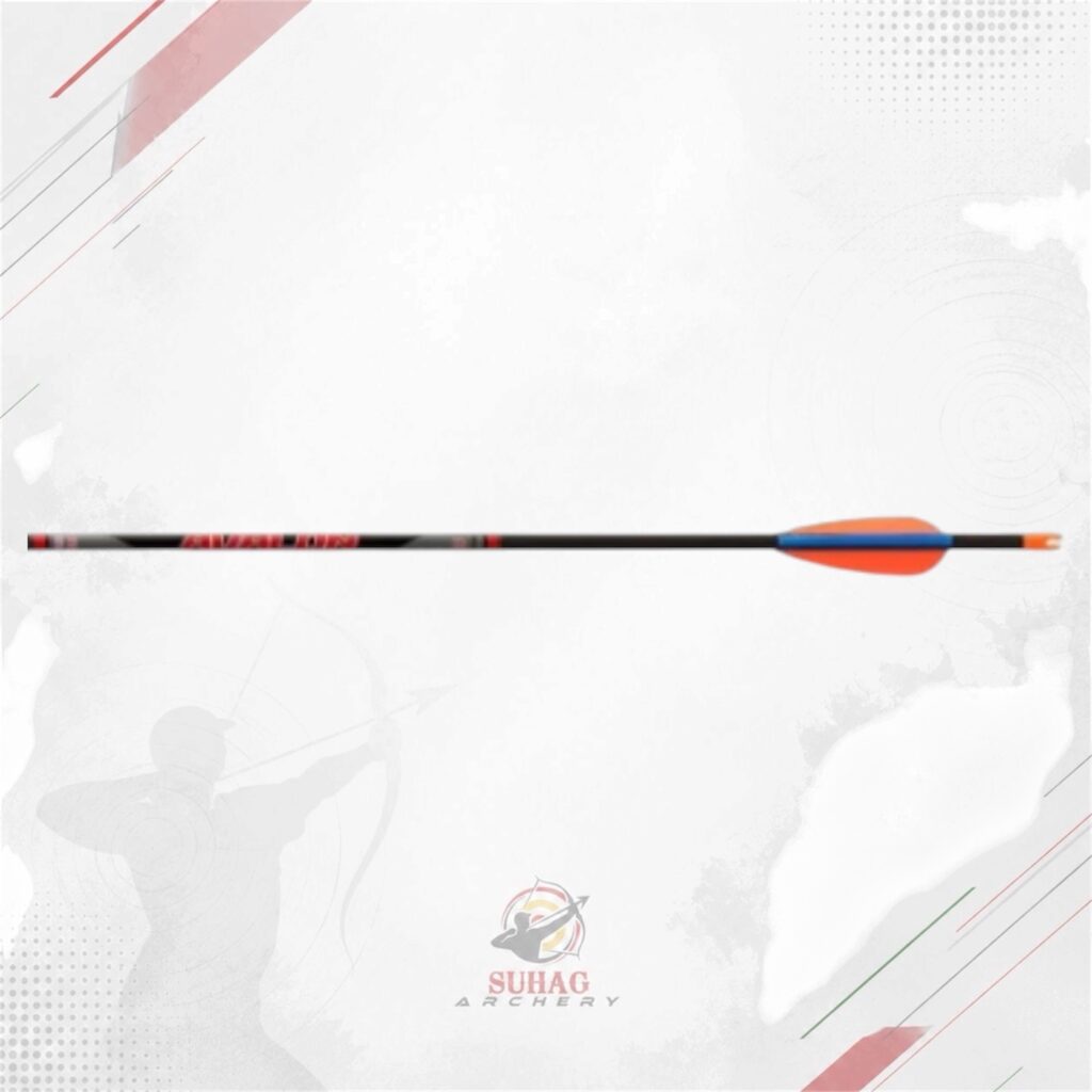 Avalon Tyro Carbon Arrow with point, pin nock, and 2-inch vanes