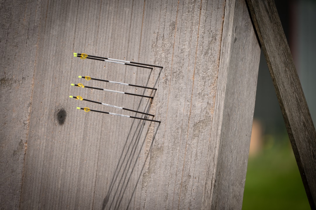 Why Is My Arrow Fishtailing? Causes and Safe Checks 1 Several arrows grouped in an archery target